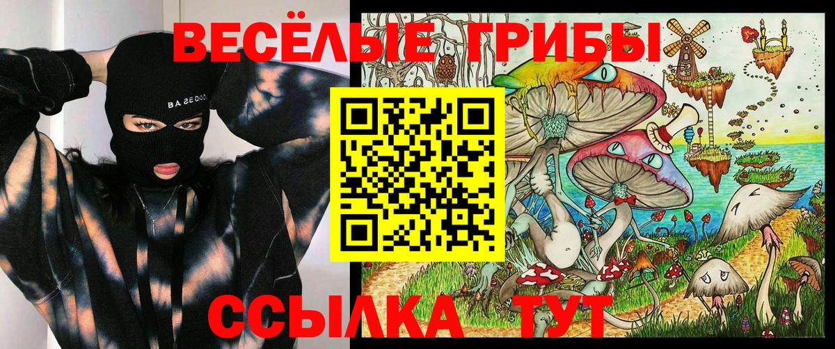 ГАШИШ Вязники