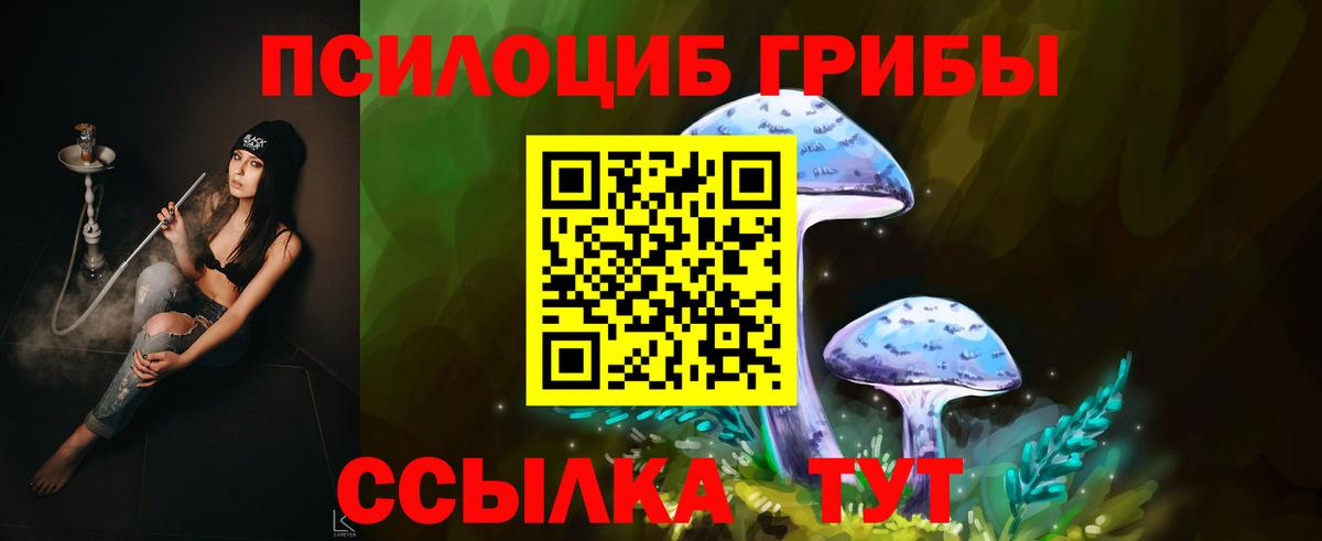 Галлюциногенные грибы Psilocybe  Псилоцибиновые грибы MAGIC MUSHROOMS  Вход с VPN  Вязники 
